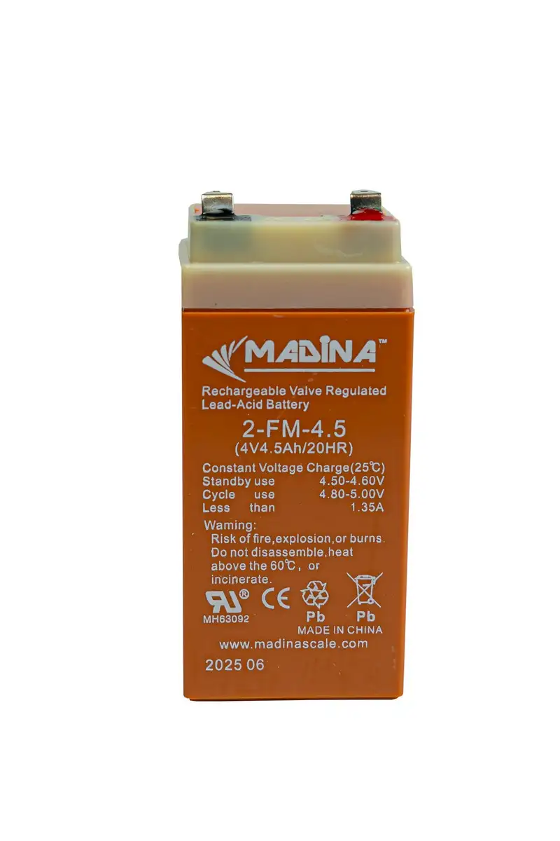 Madina Super Power Battery-4v 2