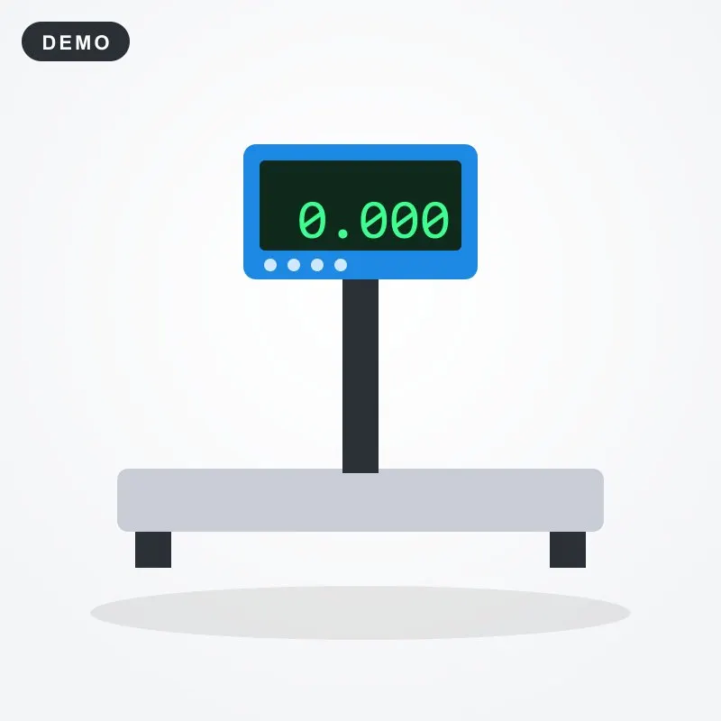Platform Scale 300kg 1