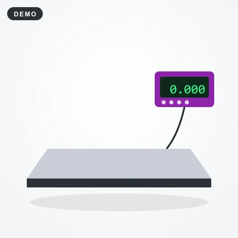 Floor Scale 3 Ton 1